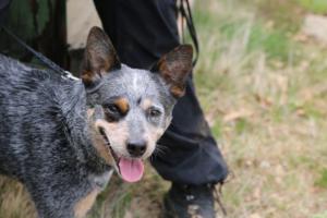 2018 Ausbildungswoche Arber